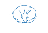 Clear Lake Sleep Center